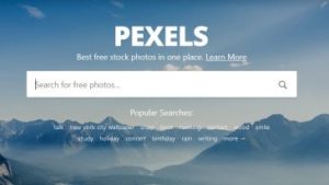 Pexels - Free stock images & photos