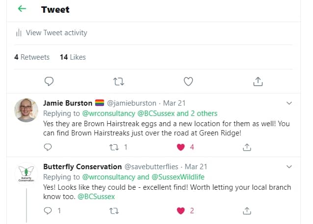Butterfly Tweet Identification Confirmed